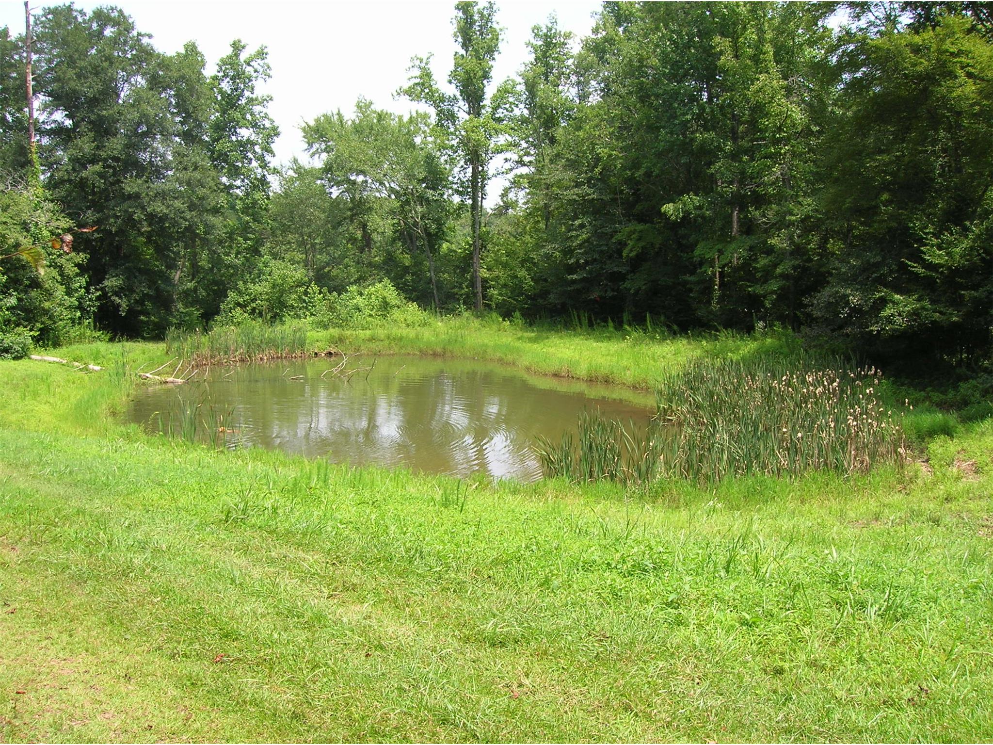 4351 Prather Bridge Rd, Toccoa, GA 30577 photo 24