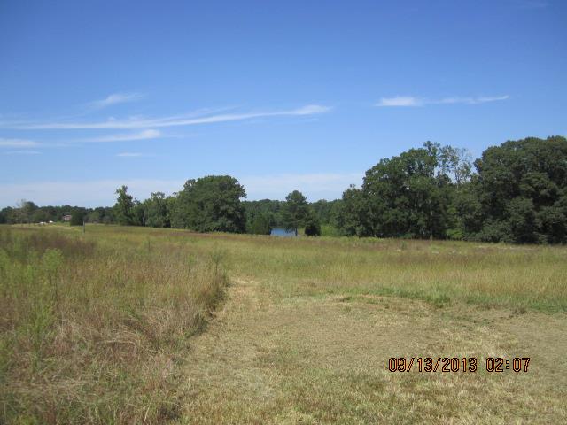 204 Windmill Ln, Williamson, GA 30292 photo 20