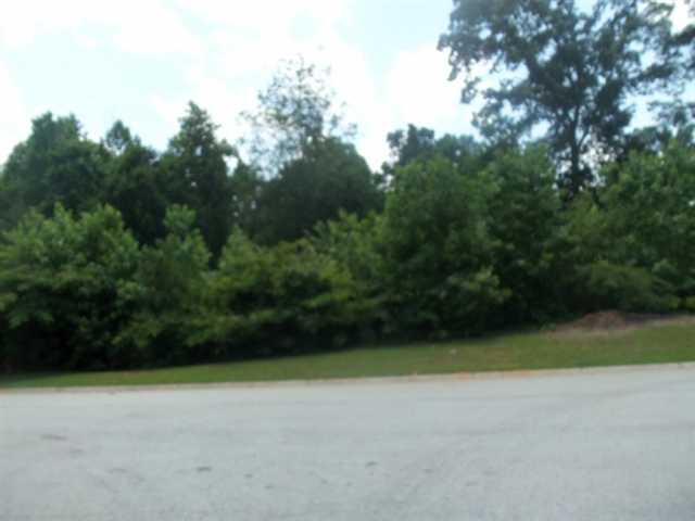 206 Creek View Rd, Bremen, GA 30110 photo 1