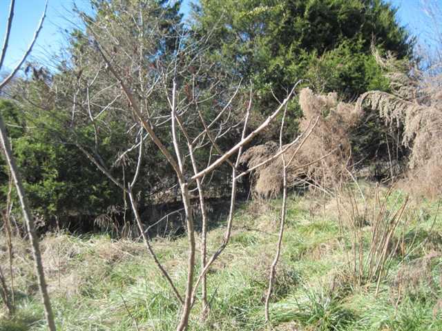 511 Chambers Rd, Commerce, GA 30530 photo 8