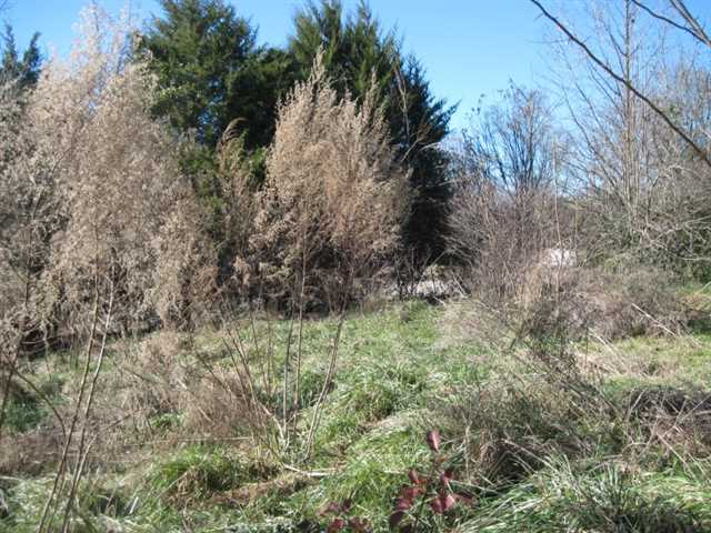 511 Chambers Rd, Commerce, GA 30530 photo 6