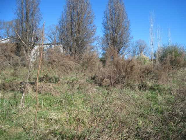 511 Chambers Rd, Commerce, GA 30530 photo 3