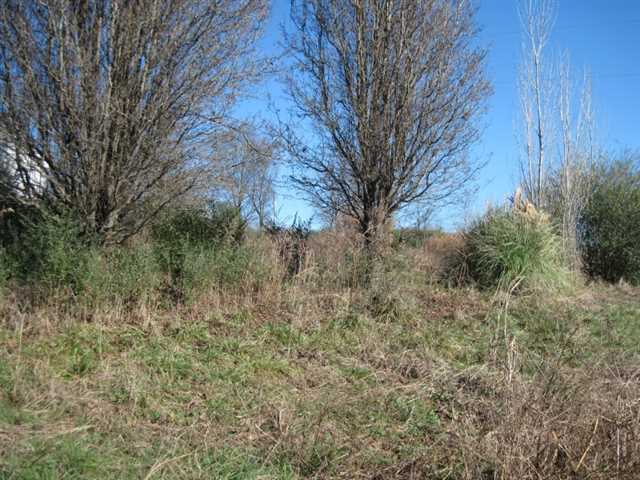 511 Chambers Rd, Commerce, GA 30530 photo 4