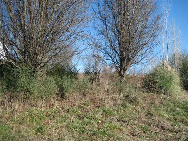 511 Chambers Rd, Commerce, GA 30530 photo 7