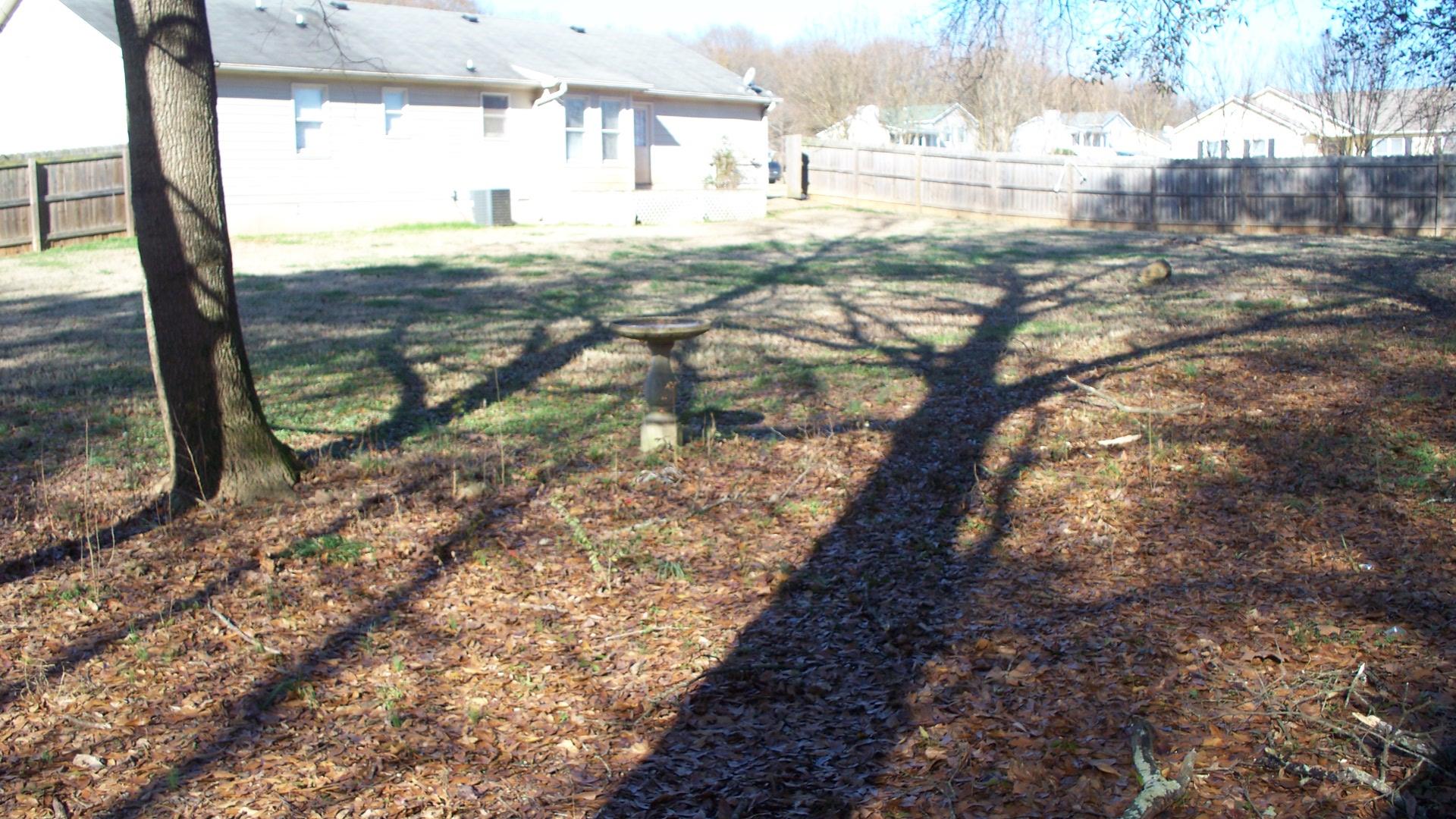 10 Setters Pt, Kingston, GA 30145 photo 11