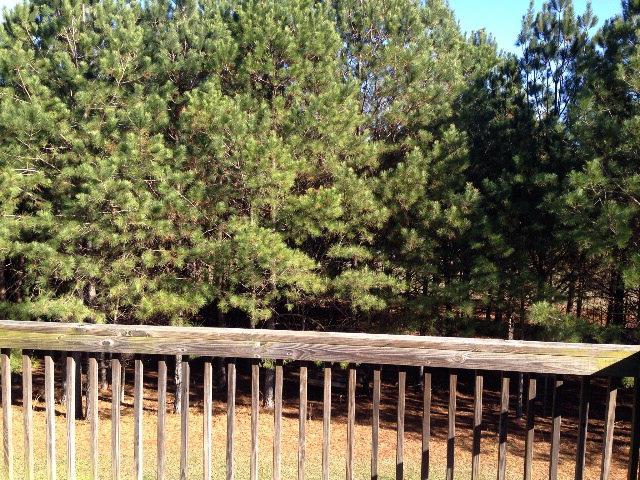 109 Coolspring Dr, Temple, GA 30179 photo 9