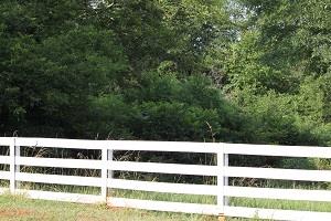 280 Jonathans Roost Rd, Williamson, GA 30292 photo 10
