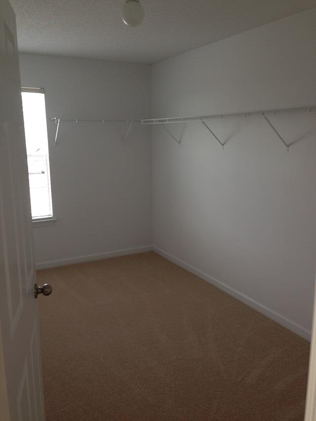 11920 Markham Way, Hampton, GA 30228 photo 9