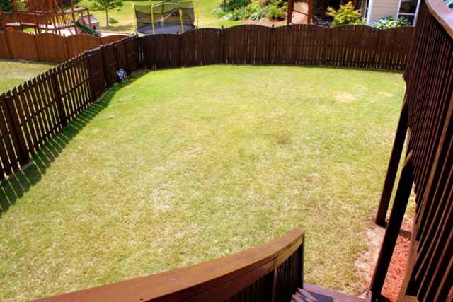 920 Tree Top Dr, Suwanee, GA 30024 photo 25
