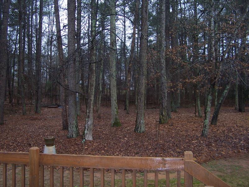 315 Weeping Willow Way, Tyrone, GA 30290 photo 4
