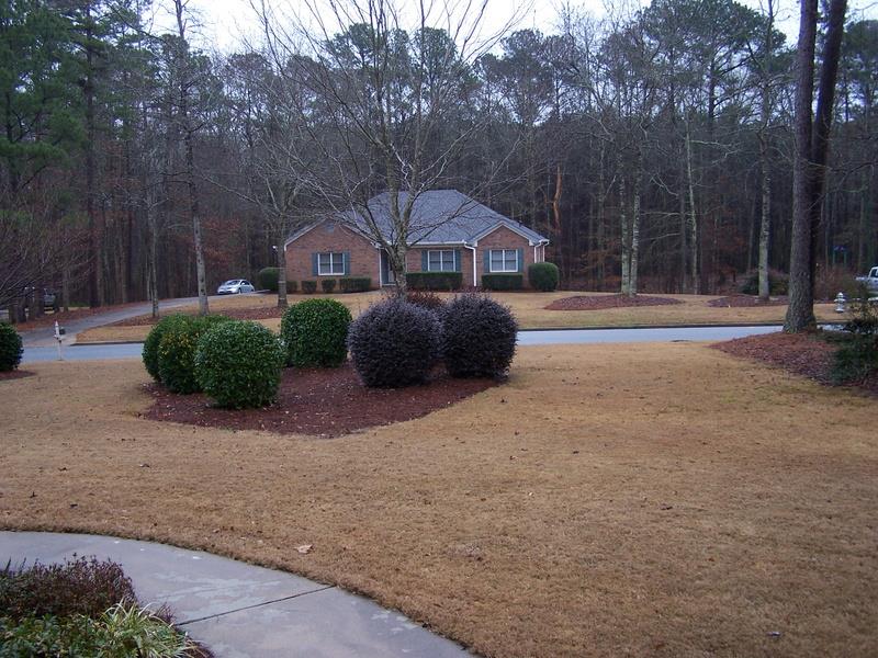 315 Weeping Willow Way, Tyrone, GA 30290 photo 2