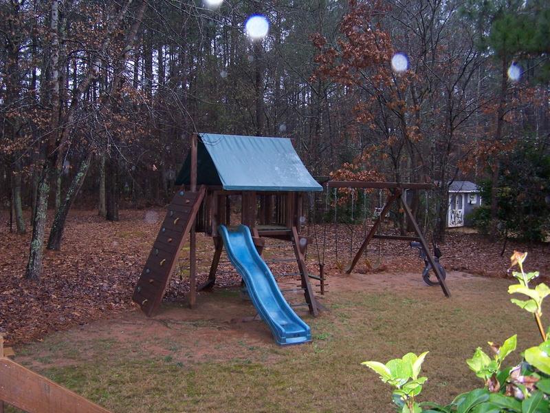 315 Weeping Willow Way, Tyrone, GA 30290 photo 6