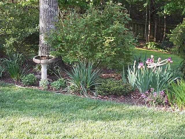 87 Windsor Way, Jasper, GA 30143 photo 8