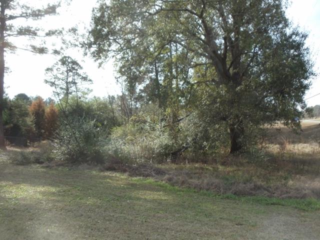 101 Bob White Dr, Dublin, GA 31021 photo 2