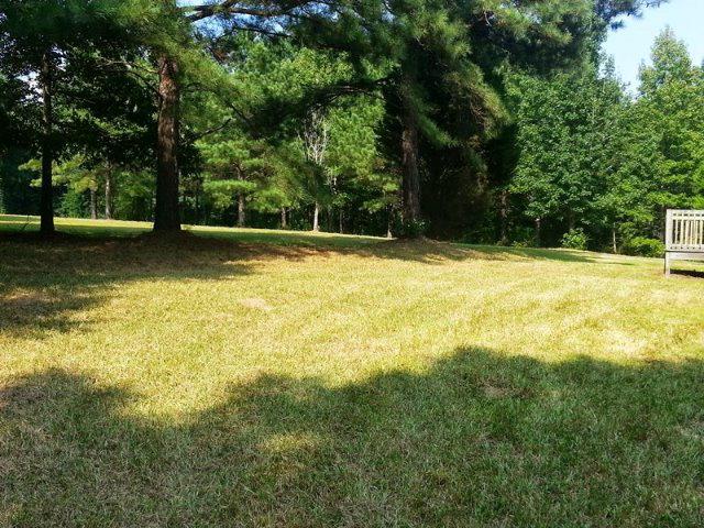 585 Proctor Rd, Rockmart, GA 30153 photo 5