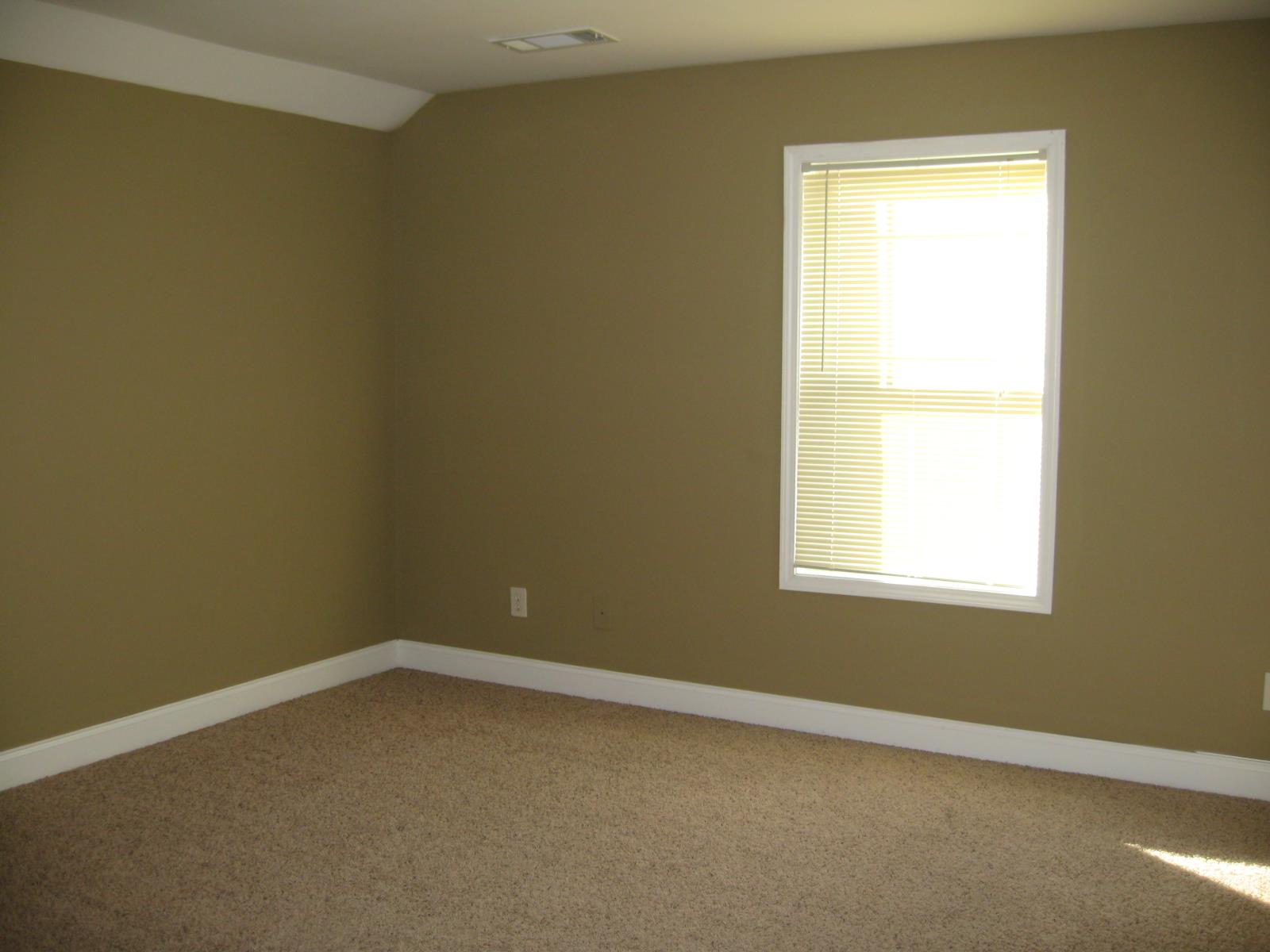 3145 Alhambra Cir, Hampton, GA 30228 photo 22