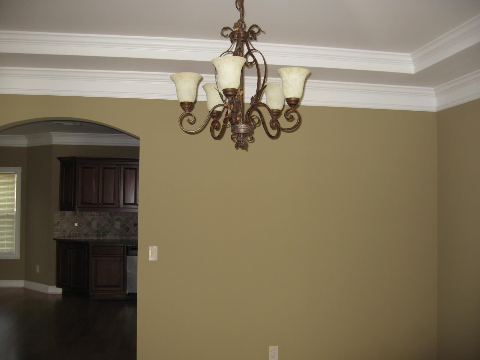 3145 Alhambra Cir, Hampton, GA 30228 photo 4