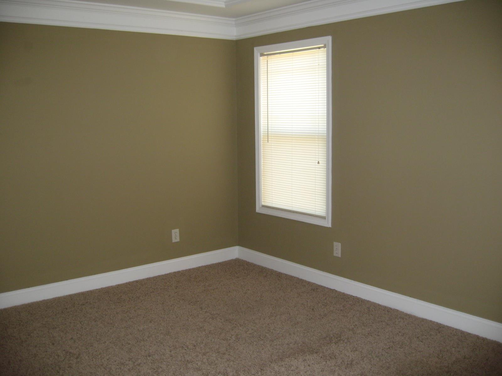 3145 Alhambra Cir, Hampton, GA 30228 photo 12