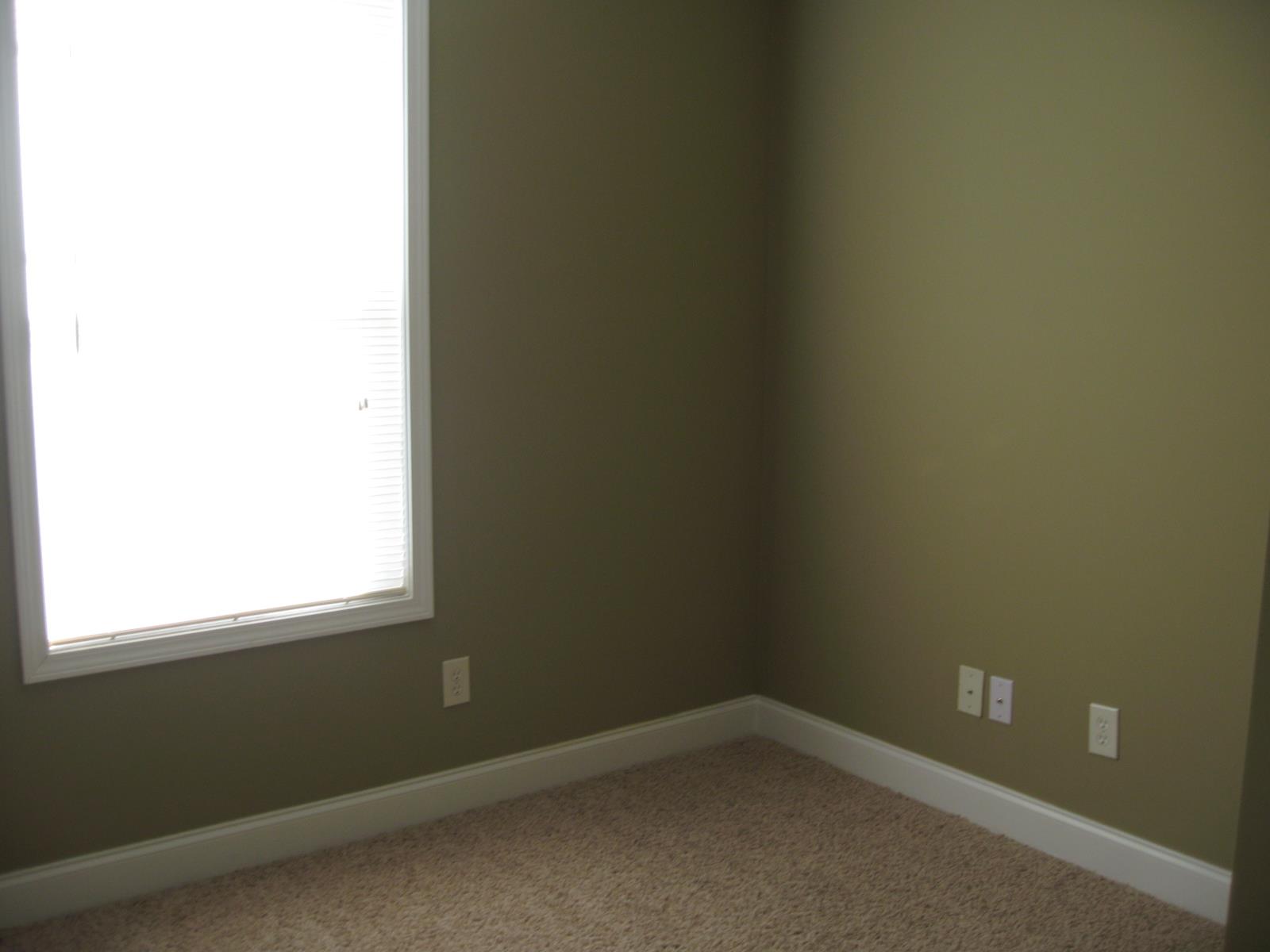 3145 Alhambra Cir, Hampton, GA 30228 photo 21