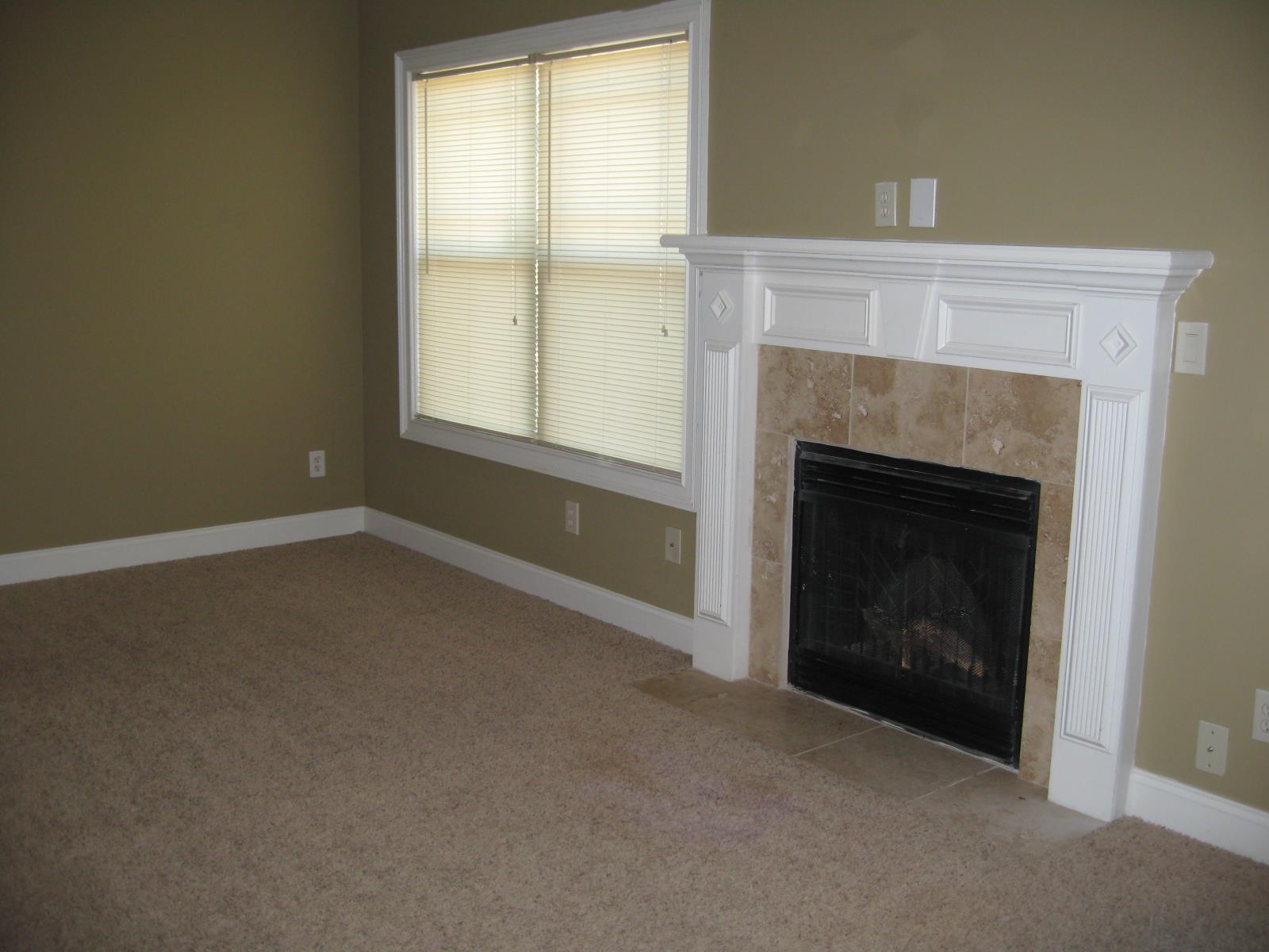 3145 Alhambra Cir, Hampton, GA 30228 photo 7