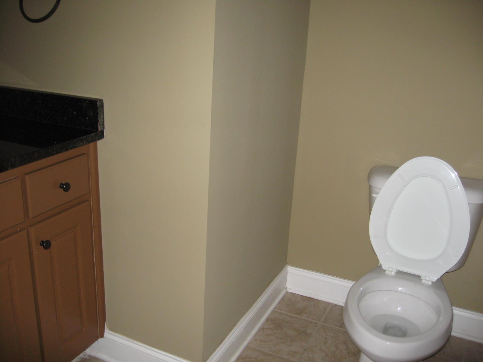 3145 Alhambra Cir, Hampton, GA 30228 photo 10