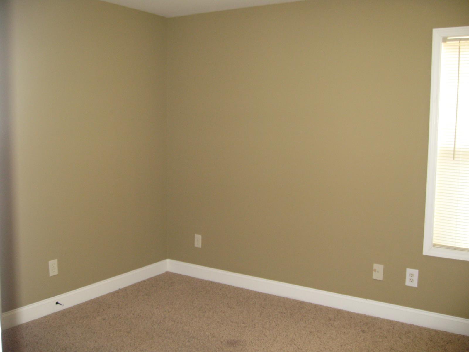 3145 Alhambra Cir, Hampton, GA 30228 photo 17