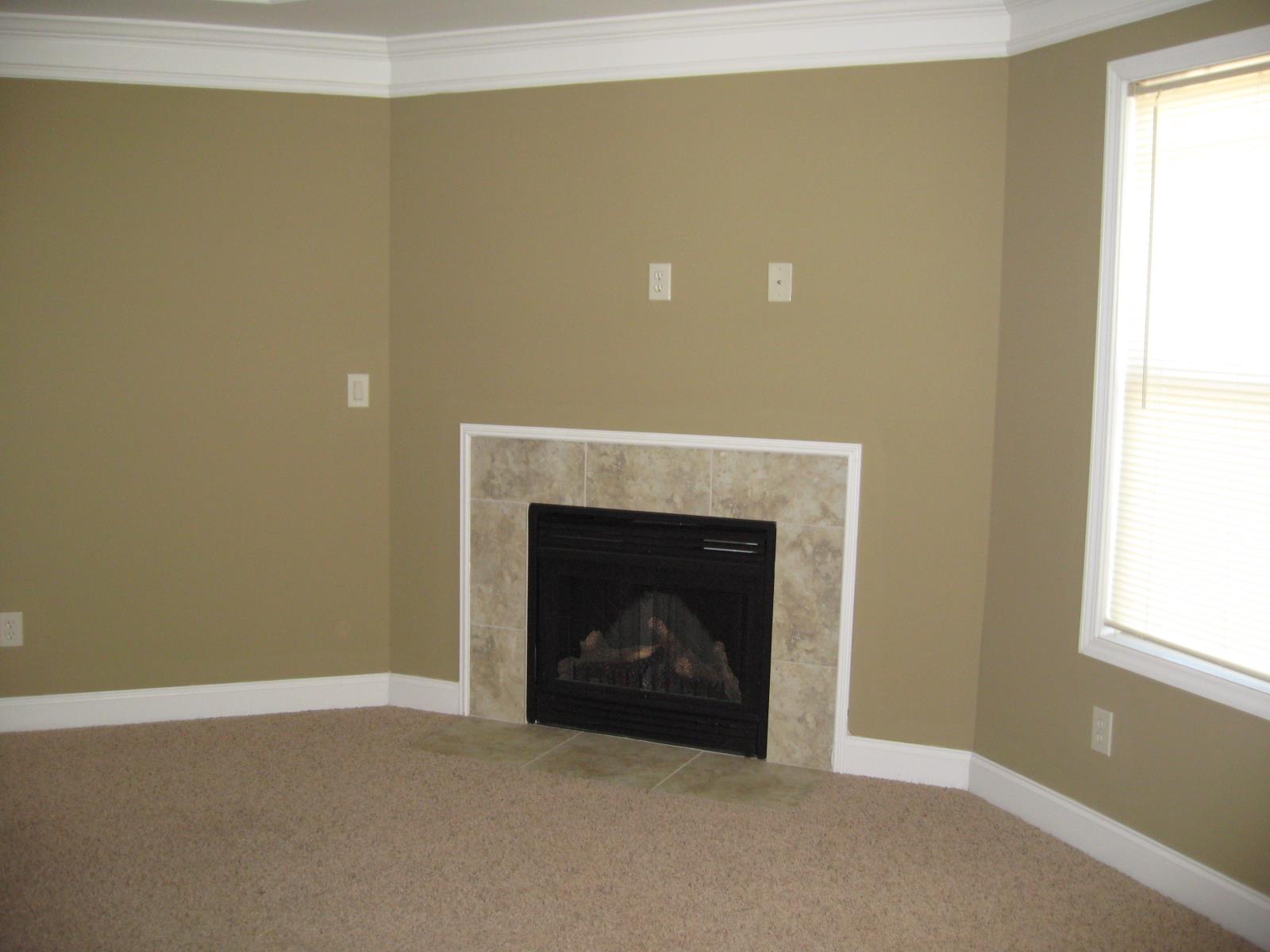 3145 Alhambra Cir, Hampton, GA 30228 photo 11