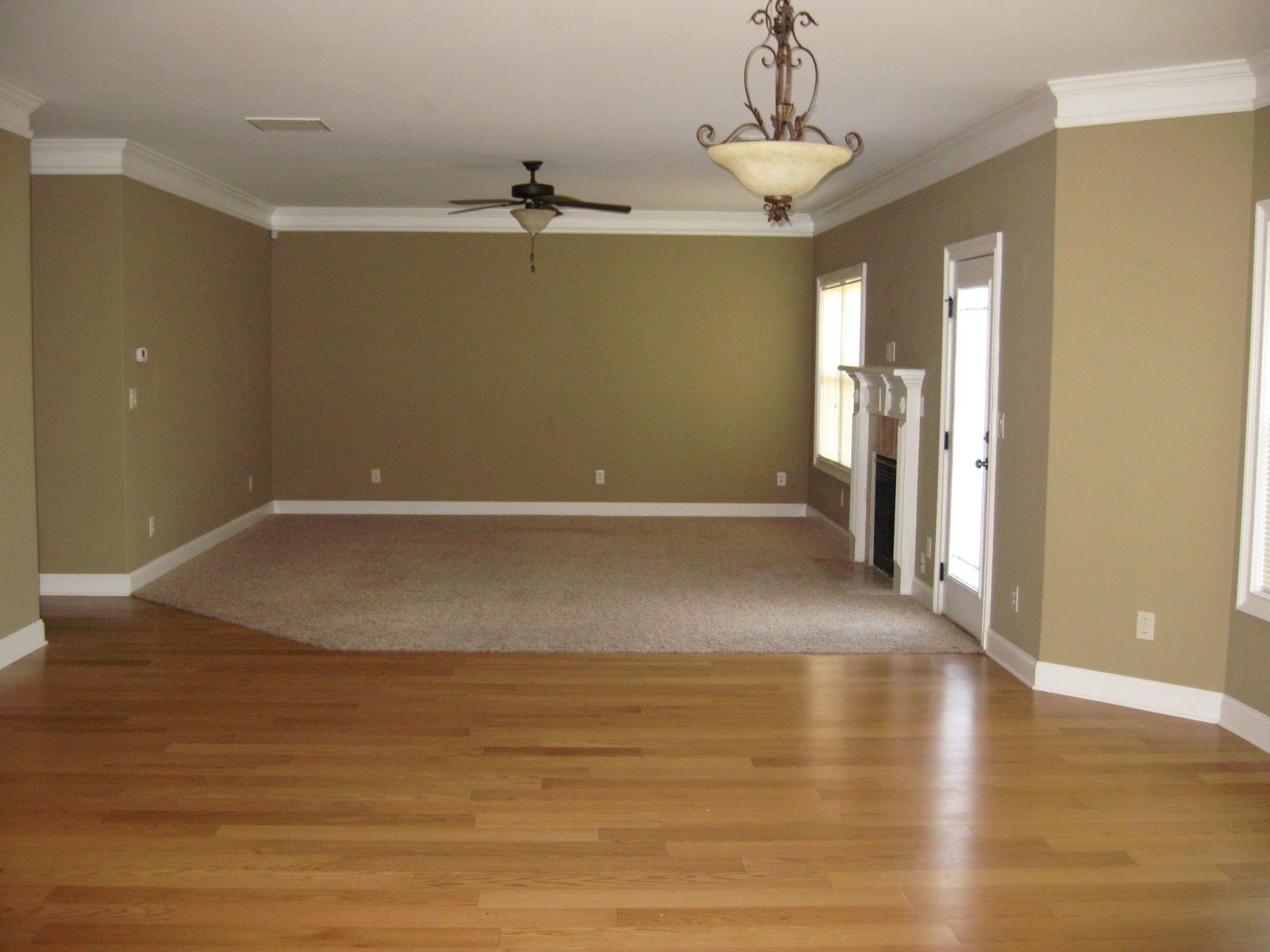 3145 Alhambra Cir, Hampton, GA 30228 photo 6