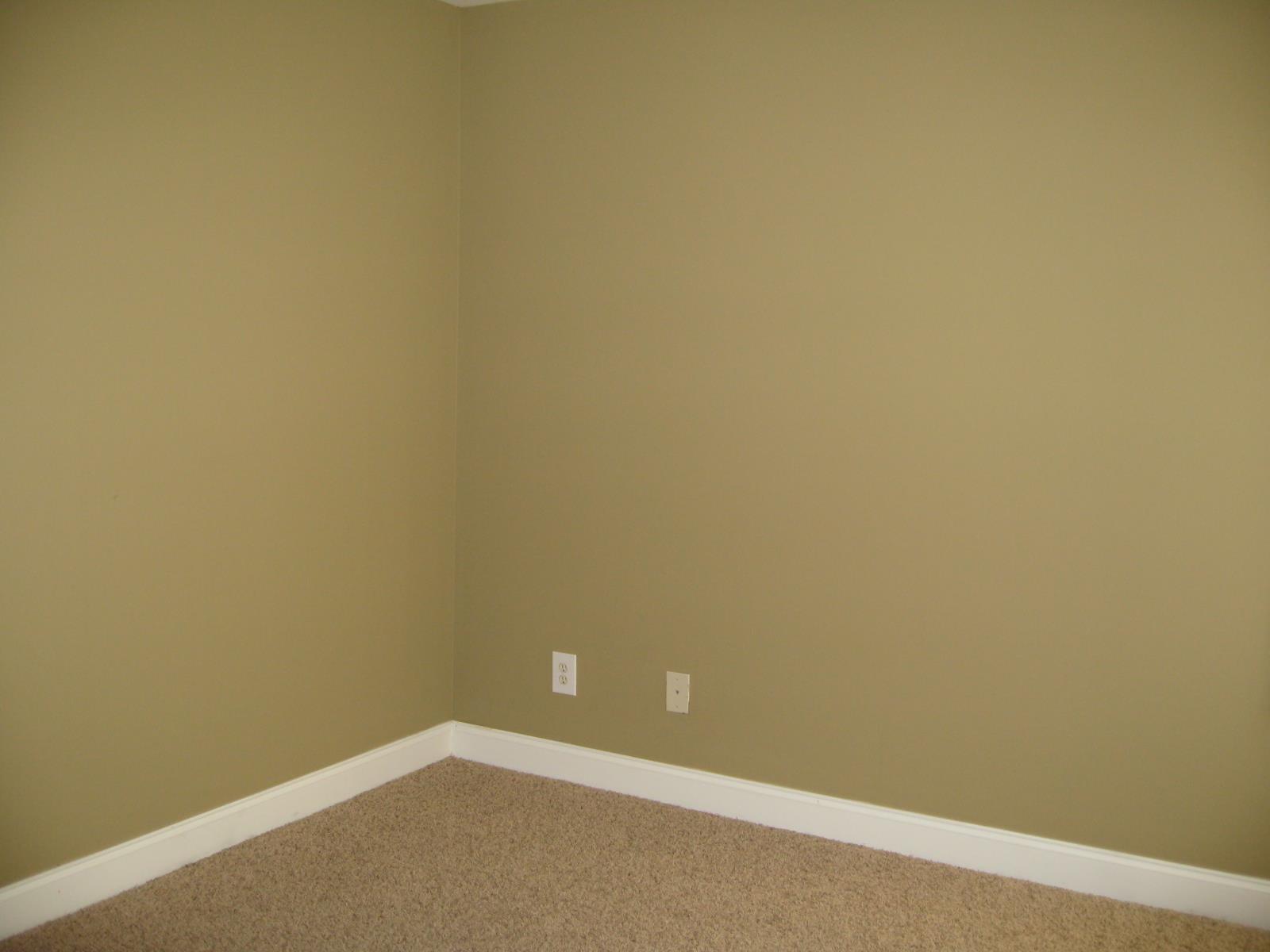 3145 Alhambra Cir, Hampton, GA 30228 photo 19