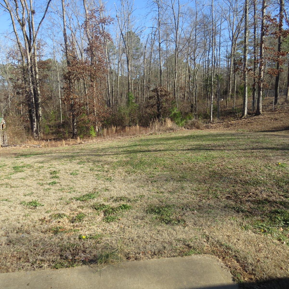 219 Bradley Rd, Jackson, GA 30233 photo 14