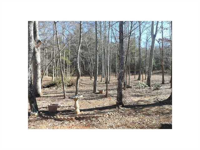 72 Heart Pine Ln, Jasper, GA 30143 photo 21