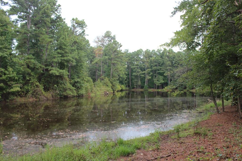 311 Devonshire Dr, Winder, GA 30680 photo 24