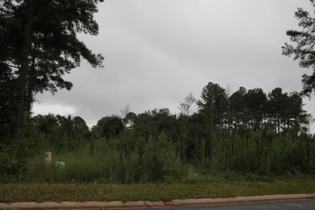 302 Bridgehampton Way, Perry, GA 31069 photo 8