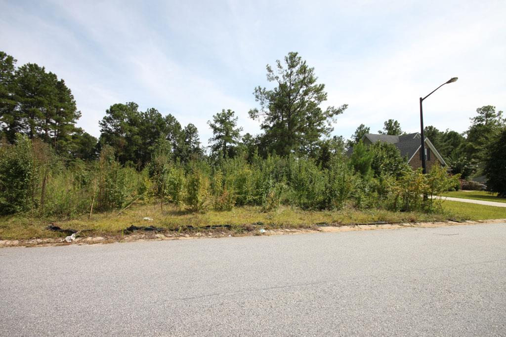 302 Bridgehampton Way, Perry, GA 31069 photo 4