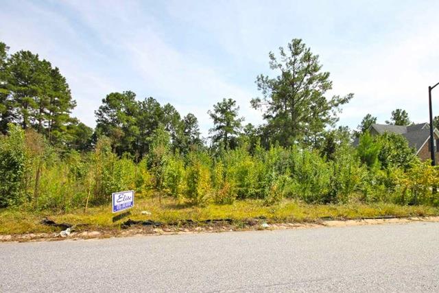302 Bridgehampton Way, Perry, GA 31069 photo 5