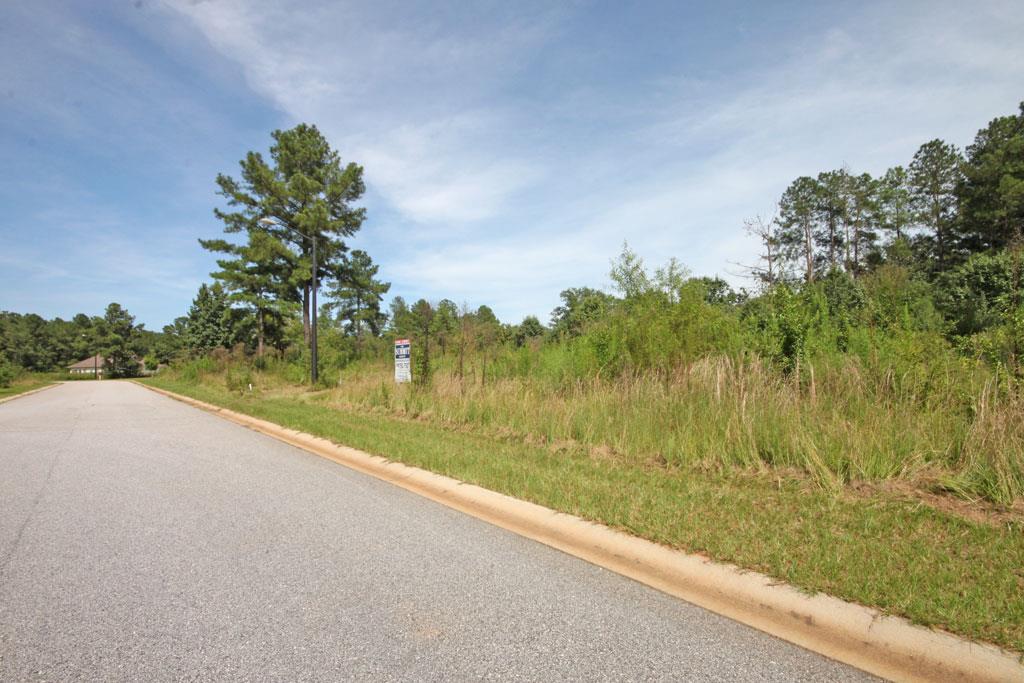 302 Bridgehampton Way, Perry, GA 31069 photo 1