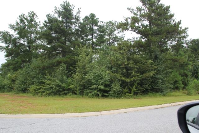 302 Bridgehampton Way, Perry, GA 31069 photo 2
