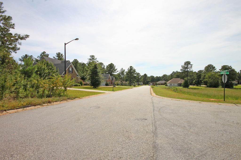 302 Bridgehampton Way, Perry, GA 31069 photo 3