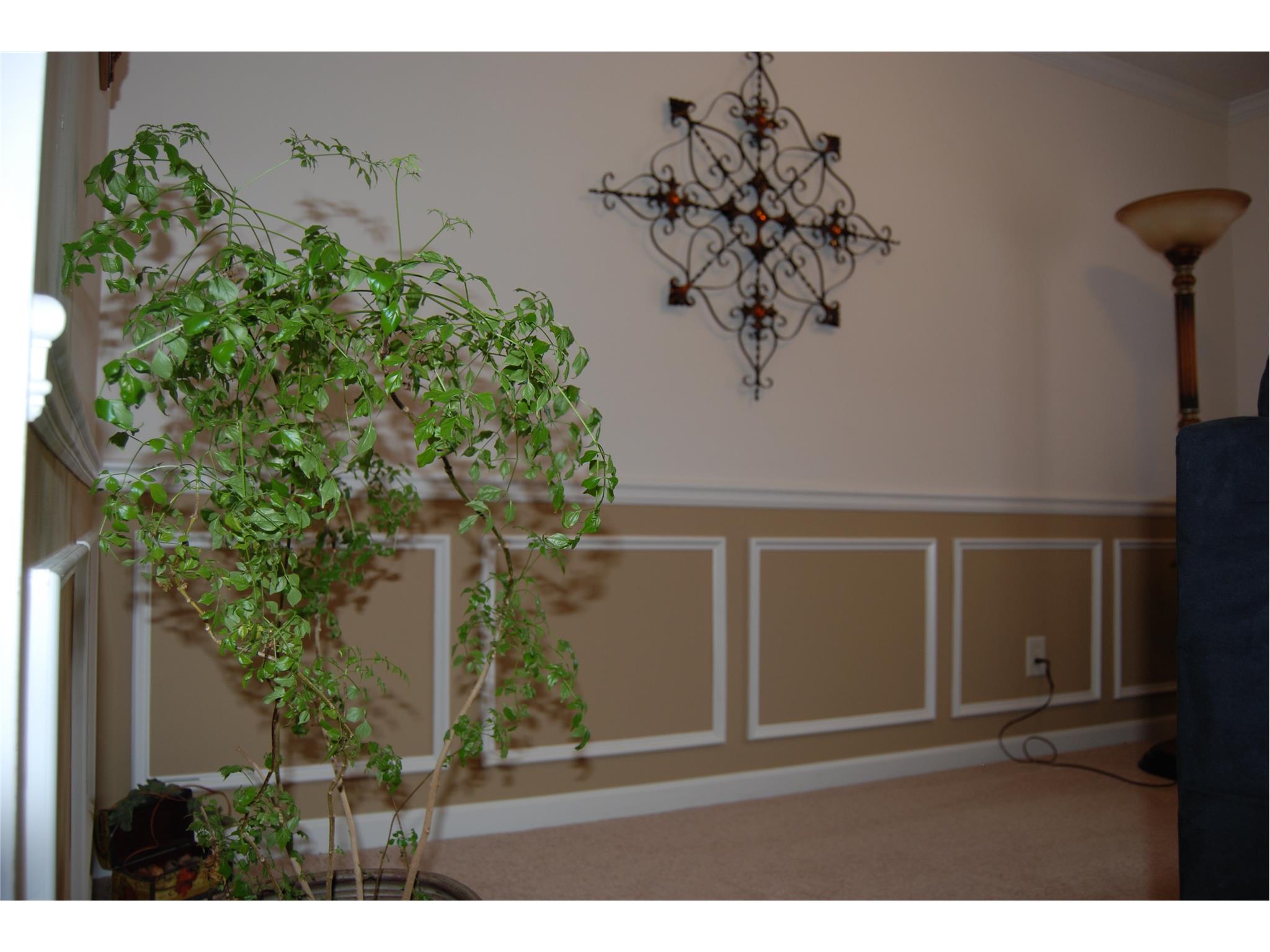 719 Mcarthur Dr, Monroe, GA 30655 photo 5