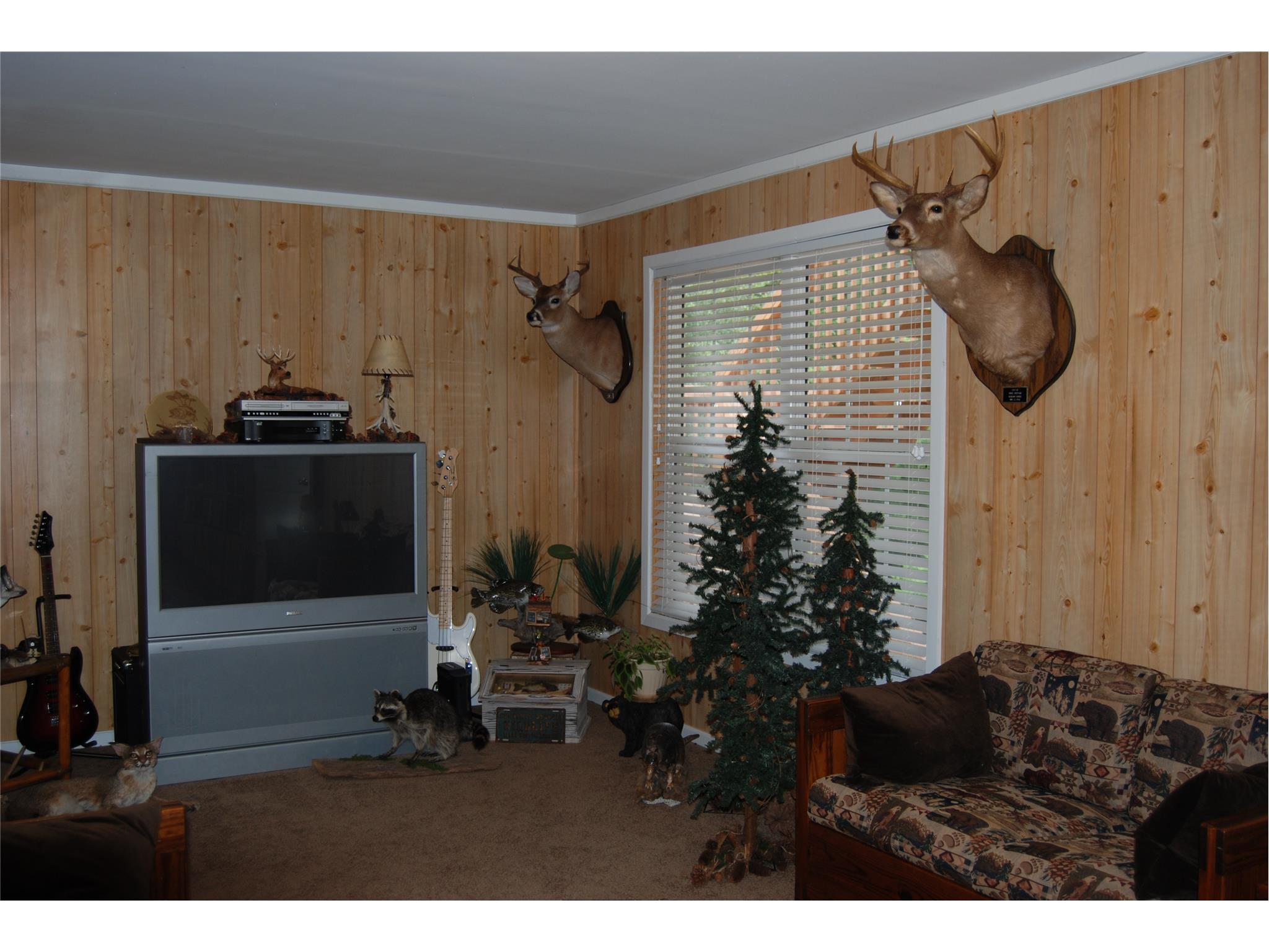 719 Mcarthur Dr, Monroe, GA 30655 photo 11