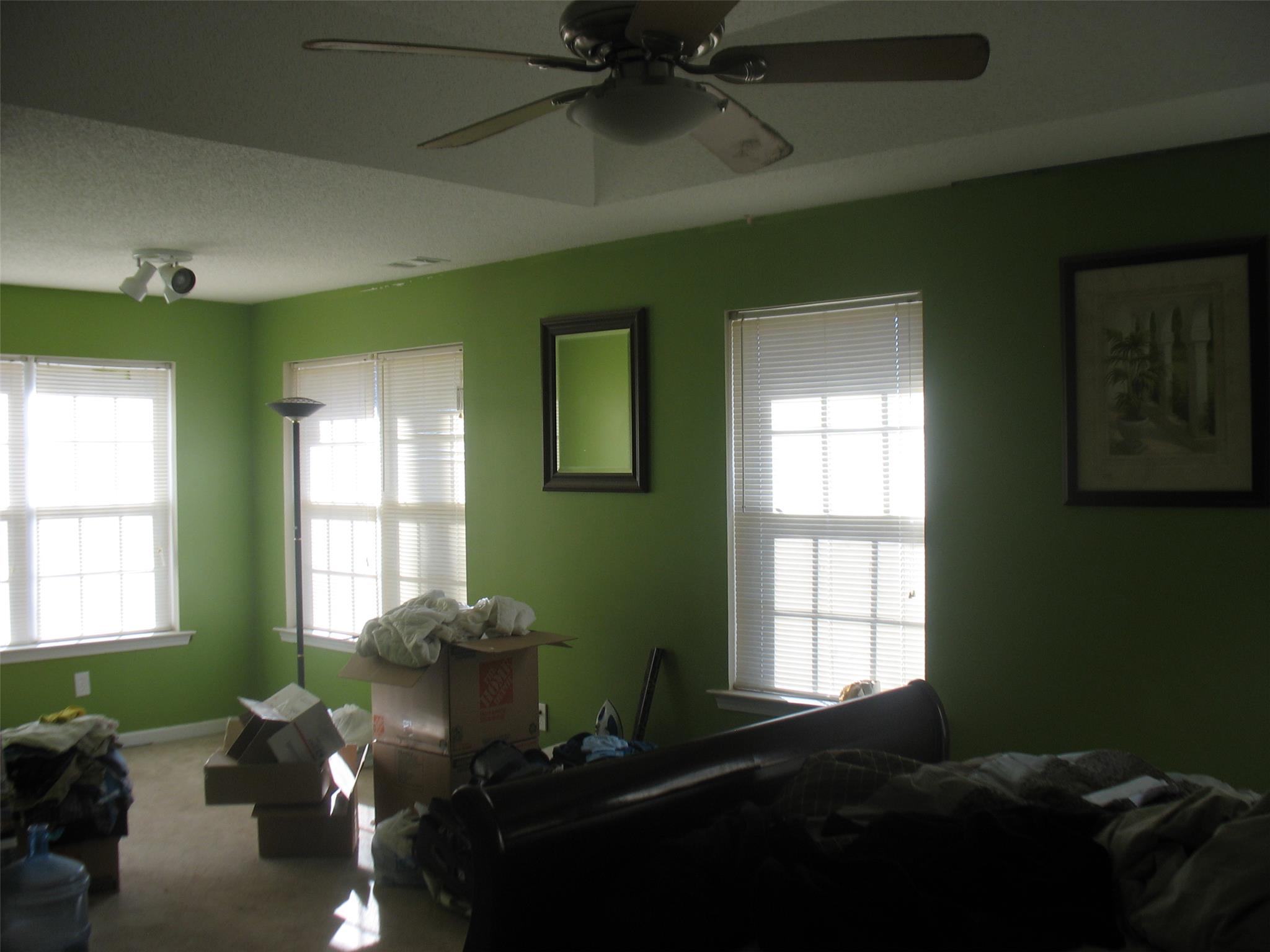 12876 Dolphin Pt, Hampton, GA 30228 photo 8