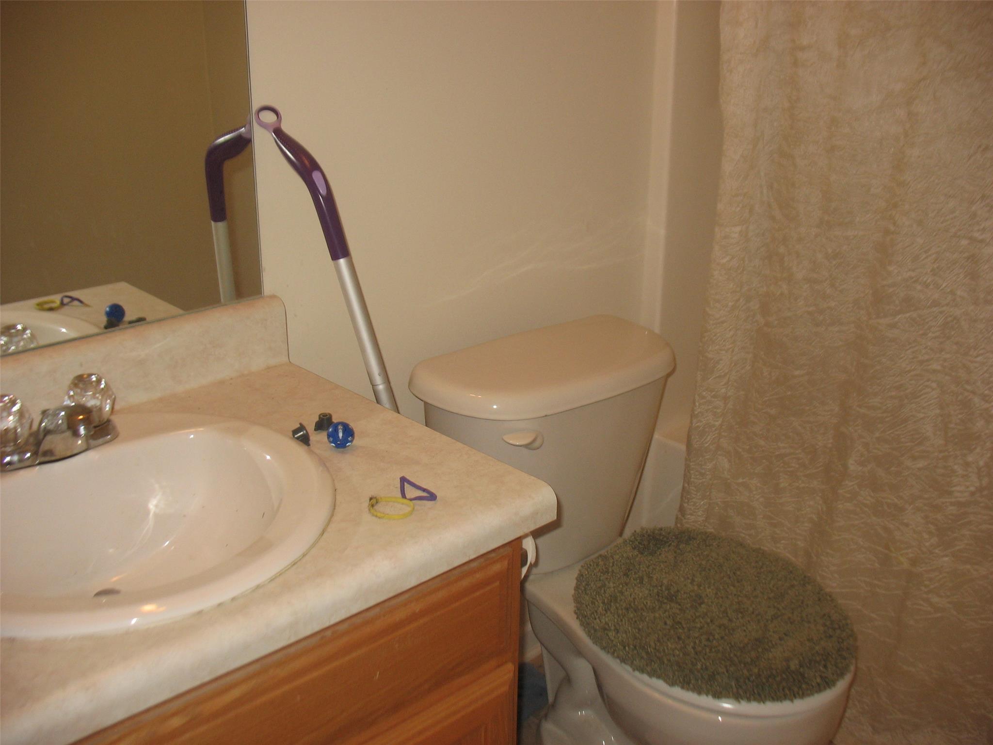 12876 Dolphin Pt, Hampton, GA 30228 photo 12