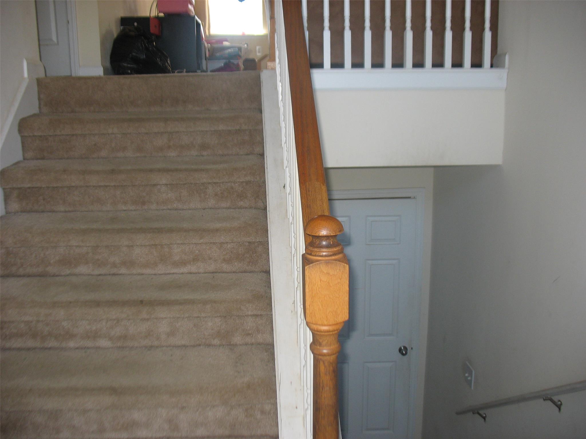 12876 Dolphin Pt, Hampton, GA 30228 photo 2