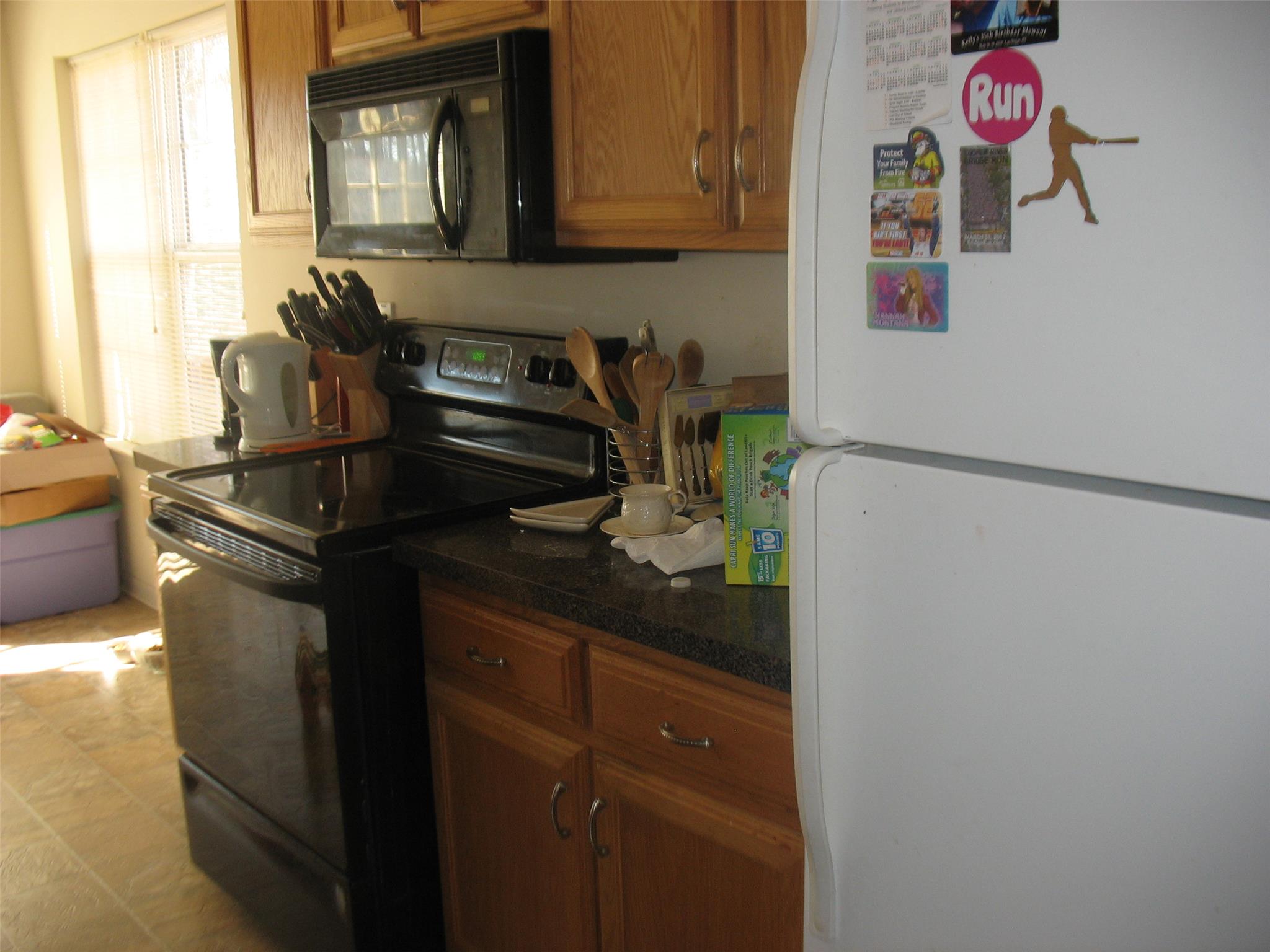 12876 Dolphin Pt, Hampton, GA 30228 photo 7