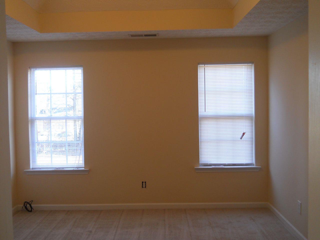 917 Lopez Ln, Monroe, GA 30655 photo 12
