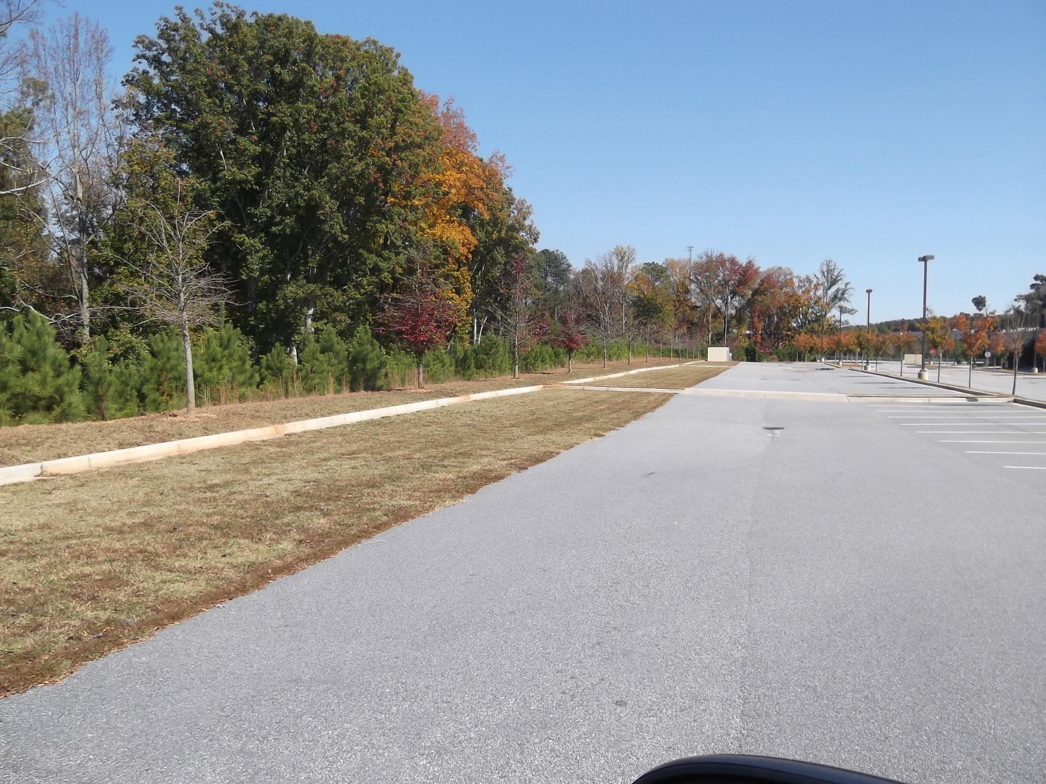 302 Satellite Blvd #232, Suwanee, GA 30024 photo 4