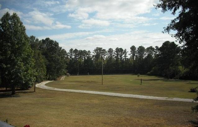 170 Chestnut Rd, Covington, GA 30016 photo 5