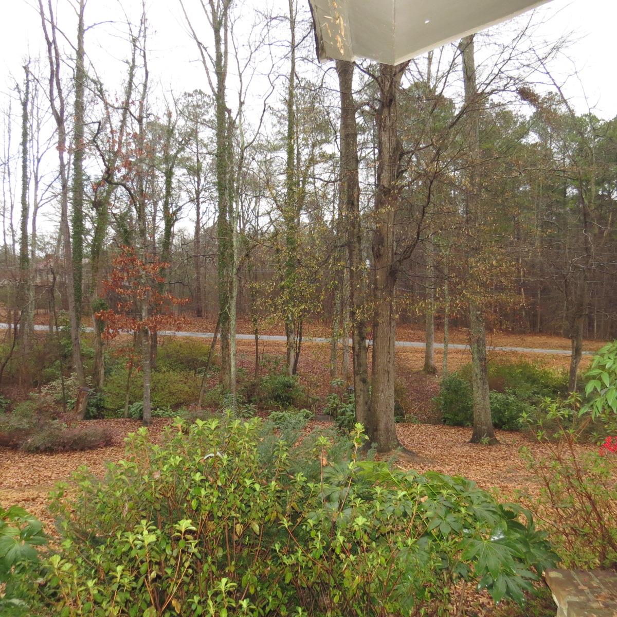 564 Mccaskill Dr, Jackson, GA 30233 photo 22