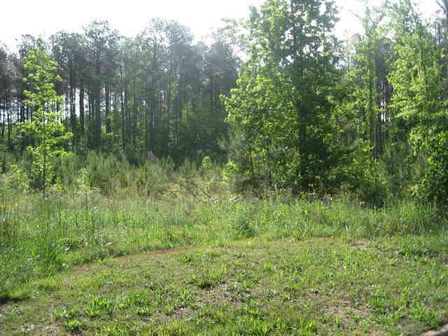 224 Hyannis Dr, Jackson, GA 30233 photo 1