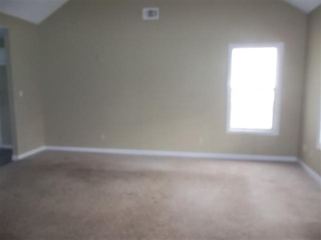 1315 N Hampton Dr, Hampton, GA 30228 photo 3